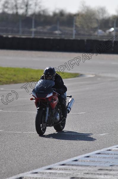 debutant (18).JPG